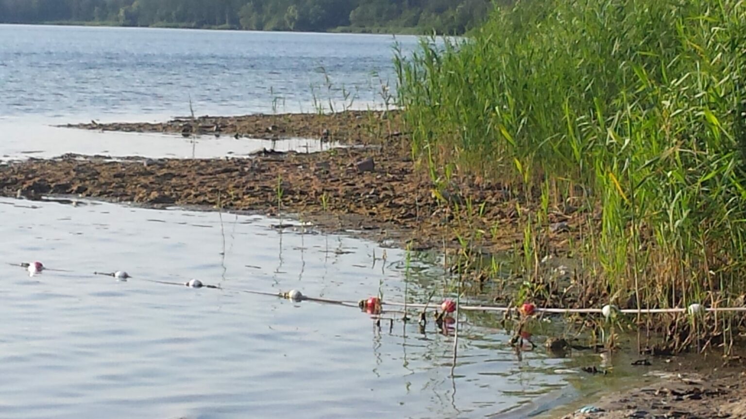 Online Talk Auf dem Trockenen am Plessower See?